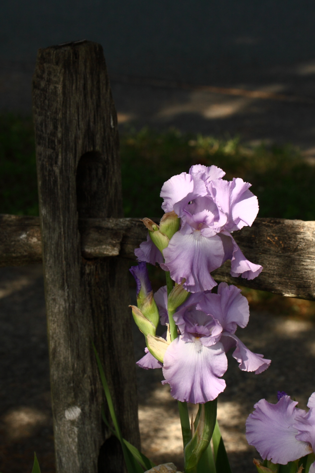 2015 05 29 HTP 000061604e